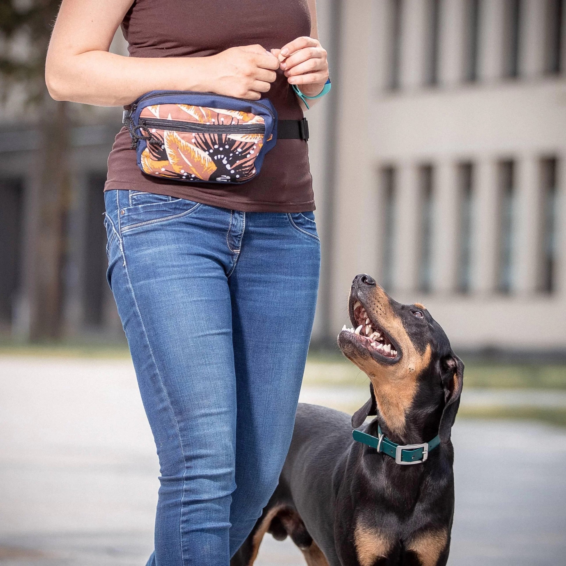 FERN - dog treat bag